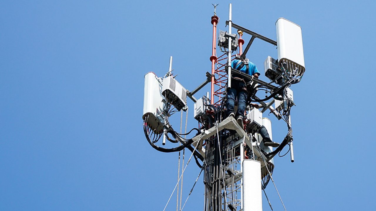 sector in Cameroon operators’ databases will soon