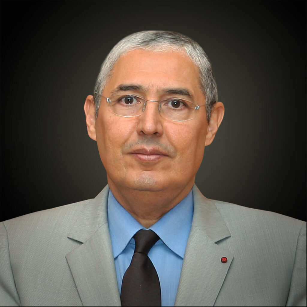 mohamed el kettani- ceo attijariwafa bank