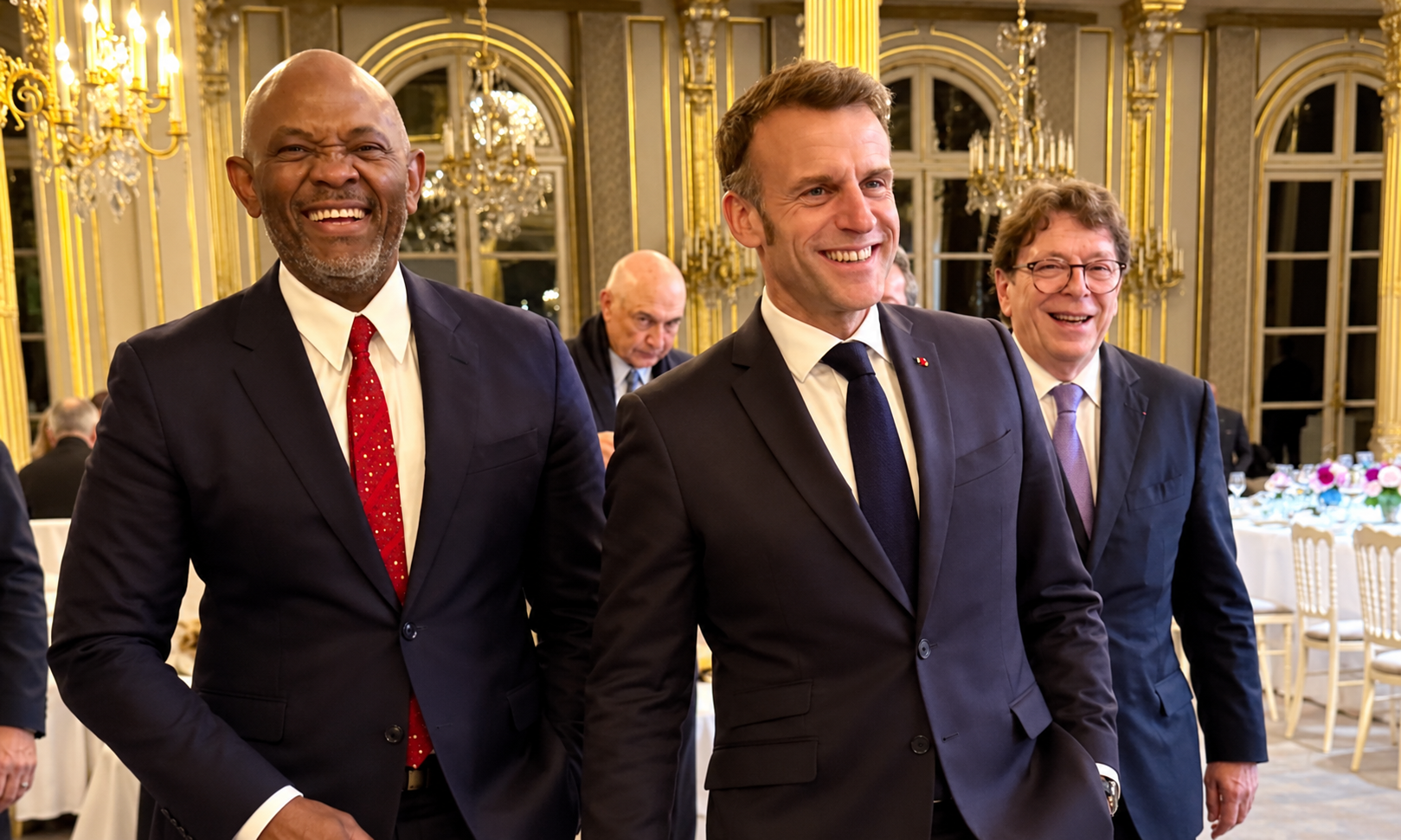 Tony-Elumelu, Emmanuel-Macron